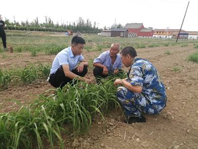 张华仕：做老百姓的“贴心骨和暖心人”