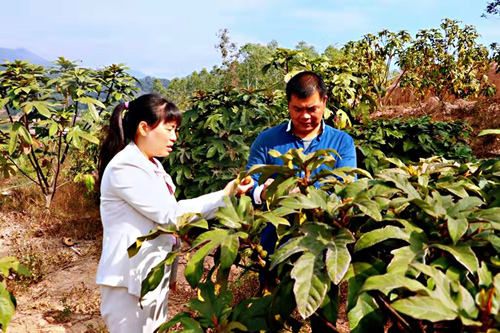 陈秀惠：科技助力乡村振兴谱新篇