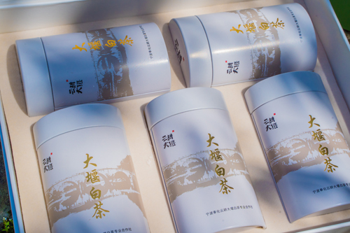 大堰镇：茶香满园又一春