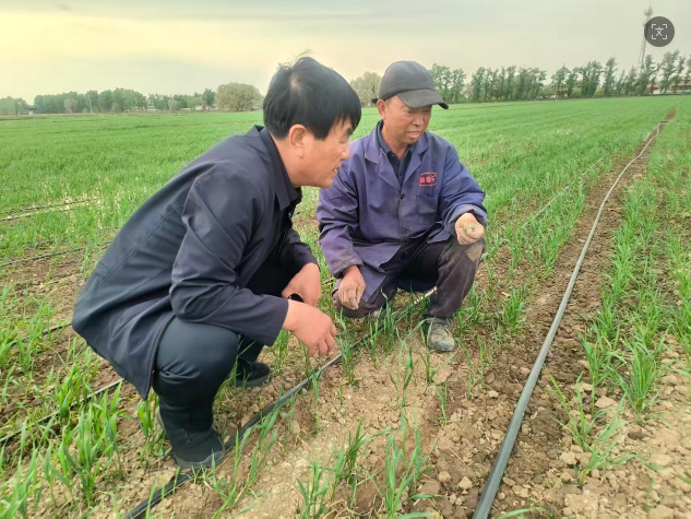山西省朔州市朔城区贾庄乡：党建领航兴粮产 深耕链条惠民生